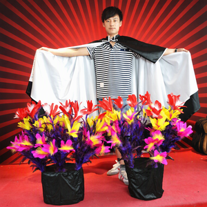 ดอกไม้ 2 ดอก, ผ้าคลุมเวทมนตร์สำหรับการแสดงดอกไม้, โชว์บนเวที, คาบาเร่ต์, การแสดงสำหรับเด็ก, โชว์ตลก, นักมายากล, จำหน่ายส่งจำนวนมาก - Product Image 4