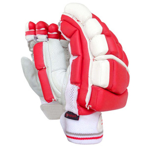 Nuevos guantes de bateo de críquet cómodos, guantes de críquet de calidad profesional, personaliza el logotipo, tamaño y color, guantes de críquet - Product Image 1