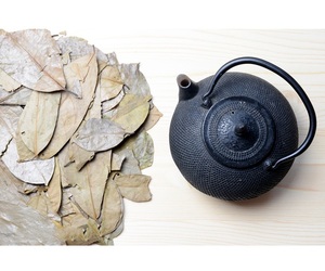 ทุเรียนเทศแห้งใบวัตถุดิบสมุนไพรธรรมชาติคุณภาพส่งออกระดับมืออาชีพสำหรับผู้ซื้อขายส่งทั่วโลกเท่านั้น - Product Image 4