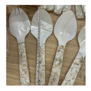 Eco Friendly Mother of Pearl Shell Spoon Handmade Seashell Spoon for Sustainable Tableware Wholesale - Product Image 6