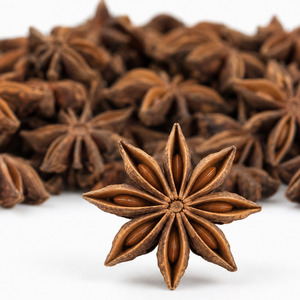Best Price Best Selling Vietnam Manufacturer Supply Tasty International Standard Star Anise Bulk Supply - Product Image 2