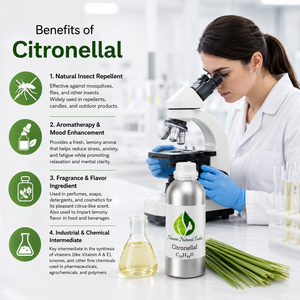 Aceite Esencial Puro de Citronela Natural de la India, Destilado al Vapor, con Aroma Herbal a Hierba Limón - Product Image 1