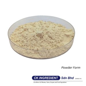 Premium High Quality Oatmilk Powder Base Halal OEM B2B <b>Best</b> Supplier Guarantee Top Sale Vegan Milk Alternative Lactose Free - Product Image 4