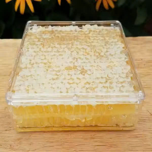 EXPORT GRADE NATURAL <b>RAW</b> HONEYCOMB SLAB | BULK <b>ORGANIC</b> BEEHIVE <b>HONEY</b> FOR WHOLESALE BUYERS - Product Image 3