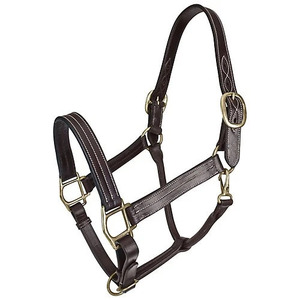 Harnais de cheval en cuir véritable de luxe avec boucles réglables et ferrures en laiton, élégant collier équestre pour l'écurie - Product Image 2