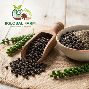 พริกไทยดำแห้งแบบดิบ 100% จากเวียดนาม ยี่ห้อ IIGLOBAL สำหรับผู้ค้าส่งวัตถุดิบอาหาร 550 กรัม/ลิตร 500 กรัม/ลิตร 570 กรัม/ลิตร 630 กรัม/ลิตร - Product Image 1