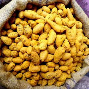 Extracto de Cúrcuma Orgánica en Polvo de Alta Calidad, Curcuma Longa 100%, 95% Curcumina en Polvo, Compre Hoy, Entrega Rápida, Calidad Premium - Product Image 3