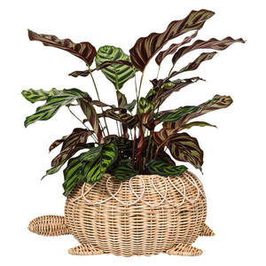 ตะกร้าหวายโปรวองซ์สำหรับตกแต่งบ้านหรูหราและมีสไตล์ - Product Image 2