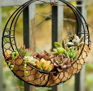 Macetero colgante de pared de hierro de calidad premium para un jardinería vertical elegante con un marco metálico resistente a un precio asequible. - Product Image 6