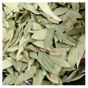 Feuilles de Laurier Séchées Naturelles de Haute Qualité Marque KYAARI 30kg – Grade Commercial pour Applications Culinaires - Product Image 3