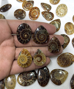 Radha Arts - Gemas Sueltas de Amonita Natural de Alta Calidad, Cabujón de Forma Mixta de 20-35 mm, para Fabricación de Joyería de Plata, Personalizable - Product Image 3