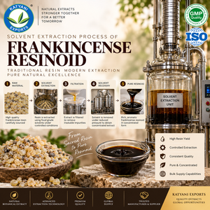 Extrait de Résine Aromatique de Boswellia Balsamique 5KG Résine d'Encens pour la Fabrication d'Encens et de Produits Parfumés - Inde - Product Image 3