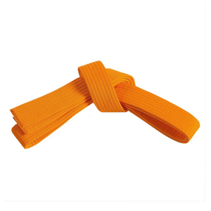 Cinturones de Karate Personalizados con OEM, Nuevo Modelo 2026, Cinturones de Karate de Artes Marciales de Alta Calidad 100% Algodón, Precio al por Mayor - Product Image 2