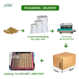 Poudre de curcuma noir, épice à base de plantes séchée, approvisionnement en vrac direct d'usine, ingrédient 100% pur et naturel - Product Image 6