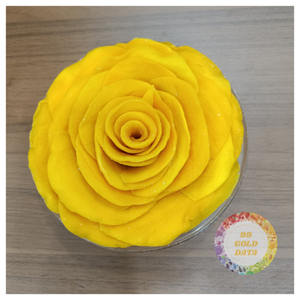 Mango Seco Suave al por Mayor 2026, Frutas Tropicales Secas al por Mayor de 99GD, Fabricado en Vietnam, Entrega Rápida - Product Image 4