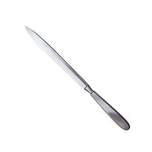 Cuchillo de Autopsia de Hoja Fija de 20 cm de Grado Hospitalario, Instrumento de Patología de Acero Inoxidable, Venta al por Mayor OEM - Product Image 5