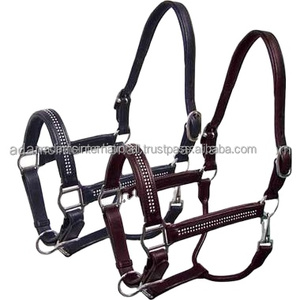 Licou de cheval en cuir noir et cristal bleu, avec rembourrage réglable - Product Image 2