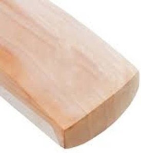 Bate de Críquet Tradicional de Tamaño Completo Hecho a Mano con Madera de Sauce de Cachemira para Adultos y Jóvenes - Product Image 2