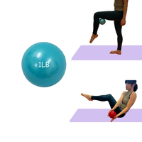 Pelota con Peso de PVC, Tamaño Personalizado, Duradera, con Color y Logotipo Personalizados para Deportes, Entrenamiento y Actividades Físicas