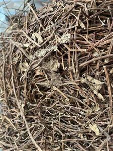 Gelée de Herbe Naturelle Séchée de Mesona Chinensis du Vietnam – Prix d'Usine en Gros pour l'Exportation - Product Image 2