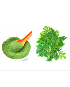 Poudre de feuilles de Moringa Oleifera pure, qualité alimentaire, traitement à mailles fines – Ingrédient superaliment vert exporté du Vietnam, aliment nutritif - Product Image 1