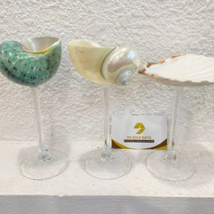 Juego de Vasos Decorativos Hechos a Mano con Conchas, Estilo Costero, para el Hogar y Cafeterías - Product Image 1
