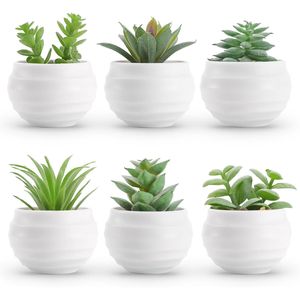 Set di 6 Piccole Piante Succulente Artificiali con Vasi per Decorazione Camera da Letto, Soggiorno, Bagno o Ufficio - Product Image 1