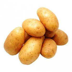 Semillas de Patata Holandesa al por Mayor, Frescas, Amarillas E7D54TZ RF34TZ, 25 kg, Redondas, de Tanzania - Product Image 5