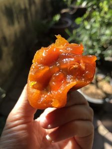 ลูกพลับอบแห้งคุณภาพสูง 100% ออร์แกนิกจากเวียดนาม รสหวาน อบแห้งด้วยแสงแดด คุณเมย์ - Product Image 3