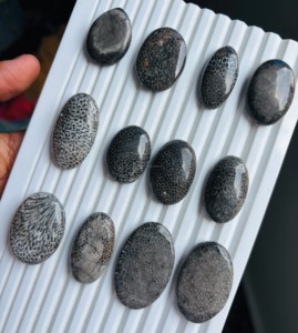 พลอยปะการังดำฟอสซิลธรรมชาติเกรด AAA รูปทรงหลวมแบบคาโบชอง ทำมือ รูปทรงผสมหลากหลาย สำหรับทำเครื่องประดับ - Product Image 6