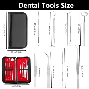 Kit de Higiene Dental Profesional de 8 Piezas, Herramientas de Cuidado Bucal, Juego de Examen de Acero Inoxidable, Certificado CE Clase I - Product Image 5
