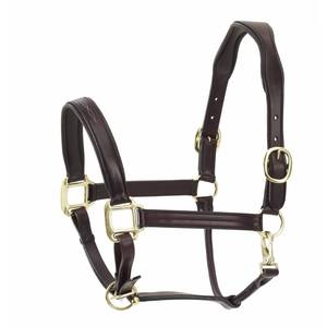 Cabestro de Cuero para Caballo con Herrajes de Latón, Color Marrón, Estilo Inglés, Equipo de Equitación - Product Image 5