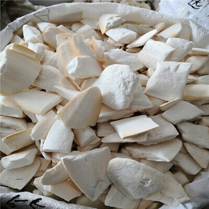 Bloque de Hueso de Sepia en Blíster con Orificios para Aves, Fuente de Calcio, Duradero, Limpio, Empaque Minorista, Proveedor OEM - Product Image 6