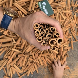 Prix d'usine Bâton de cannelle séchée/Bâton Cassia Roll Épices simples Biologiques - Product Image 1