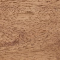 Porte-manteau mural moderne Vandana Flux Maxima en bois d'acacia Phrygian pour salon et chambre à coucher