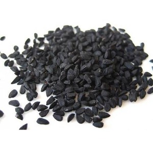 Semillas de Kalonji Indias Premium, Calidad de Exportación, Nigella Sativa, Semillas de Comino Negro, Proveedor al por Mayor - Product Image 4