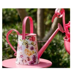 Enamel Finishing Decorative <b>Garden</b> Watering Can Metal Tall Size Unique Style Home <b>Garden</b> Decorative Vintage Stylish Water Can - Product Image 1