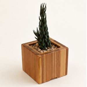 Custom Modern Minimalist Wooden Succulent Planter <b>Square</b> Hand-Carved Natural Wood Flower <b>Pot</b> for Desktop Decor and Garden Decor - Product Image 3