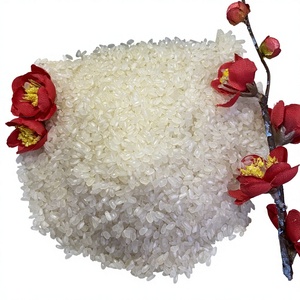 Riz blanc poli à grains moyens Camolino du Vietnam de qualité supérieure, 5% de brisure, prix usine de gros, nouvelle récolte, export en vrac / ANNA - Product Image 1