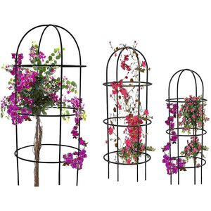 โครงเหล็กสำหรับพยุงต้นไม้แบบโดม 3 ชิ้น สำหรับดอกไม้เลื้อยในกระถาง - Product Image 3
