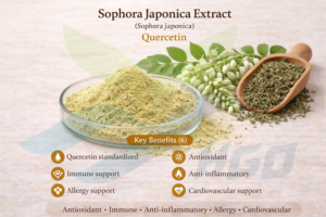 Suministro directo de fábrica HGO extracto puro natural de Sophora Japonica (grado alimenticio) Especificación quercetina 98% (extracto estandarizado) - Product Image 5