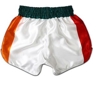 Shorts de combat MMA de haute qualité, nouveau style, personnalisés, prix bas, shorts de boxe Muay Thai, vêtements d'arts martiaux - Product Image 2