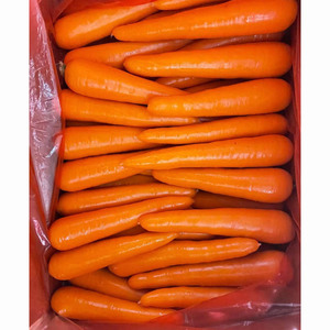Cheap Wholesale Top Quality <b>Fresh</b> <b>Vegetables</b> Carrots In Bulk Premium Quality <b>Fresh</b> Carrots/Organic Carrots - Product Image 4