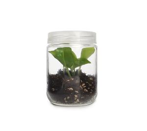 Vase hydroponique de 370 ml, bouteille vide pour culture de champignons, récipient en verre pour culture de tissus avec couvercle en plastique - Product Image 5