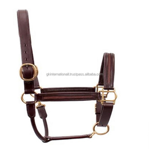 Licol de cheval en cuir rembourré, brun, fait main, avec boucle et anneau en laiton à double couronne robuste et réglable - Product Image 1