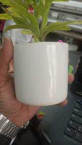 Macetas y Jardineras Redondas Pequeñas de Deepbang, con Autorriego, para Uso en Interiores, Ligeras, Duraderas y Ecológicas - Product Image 4