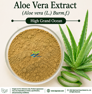 Suministro Directo de Fábrica HGO, Extracto de Aloe Vera (Aloe vera (L.) Burm.f.) (Grado Alimenticio) 4:1 5:1 10:1 20:1 100:1 200:1 (Extracto en Rácimo) - Product Image 1