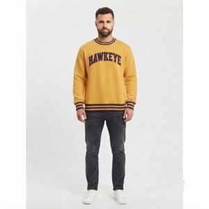 HAWK EYE SPORTS Sweat à capuche décontracté pour homme, nouvelle mode, polaire 350g, imperméable, coupe droite, col montant, imprimé - Product Image 4