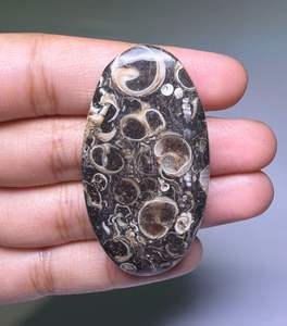 Lote al por mayor de cabujones de ágata TURRITELLA por peso con diferentes formas y tamaños utilizados para la fabricación de joyas, piedra TURRITELLA - Product Image 1