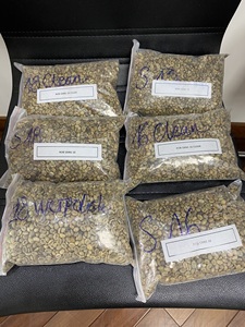 Café Vert Robusta PHALCO de Haute Qualité Grade 1 Tamis 16/18 Vietnam Meilleur Prix Prêt à l'Exportation en Sac de Jute - Product Image 4